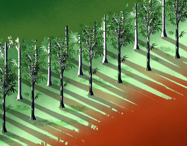 Creating innovative news design products in Latin America – in Spanish (Creative Conference Calls)