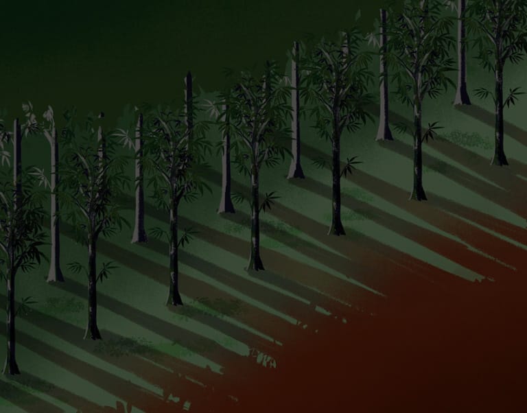 Watch: Creating innovative news design products in Latin America – in Spanish (Creative Conference Calls)